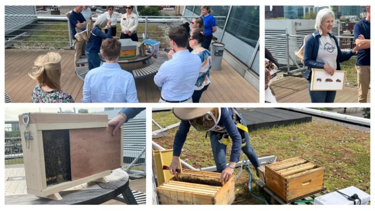 BB Capital - Ff-meet-your-bees