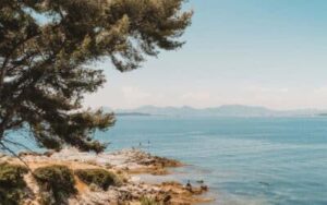 BB Capital - Screenshot