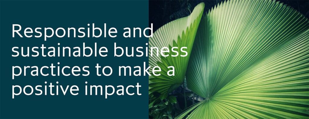 BB Capital - Screenshot