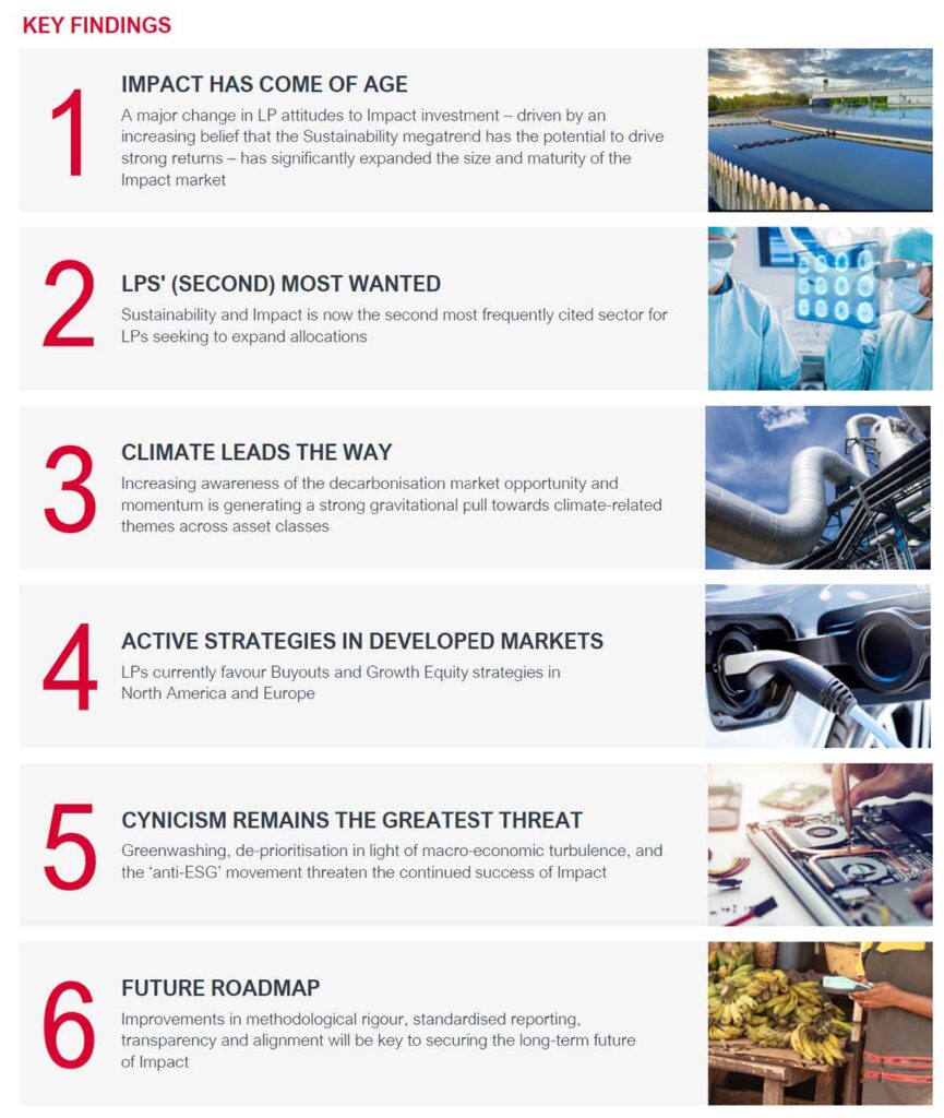 BB Capital - Rede-impact-report-bb-capital