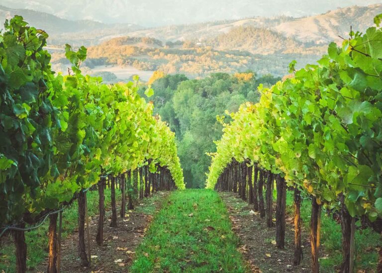 BB Capital - Vintage-jaren-private-equity-wat-is-het