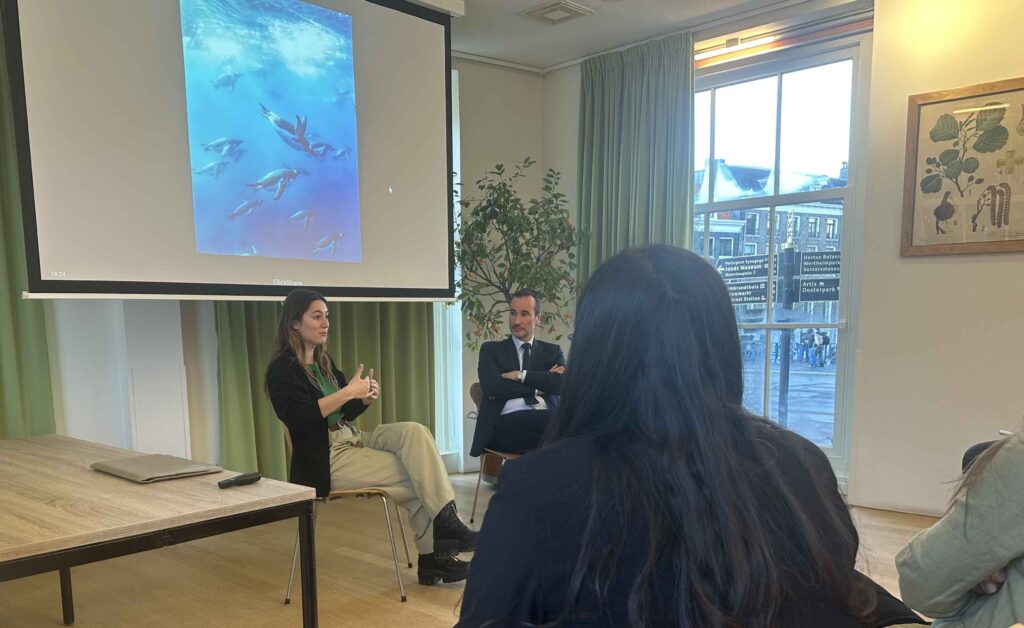 BB Capital - Foto eurazio bb capital