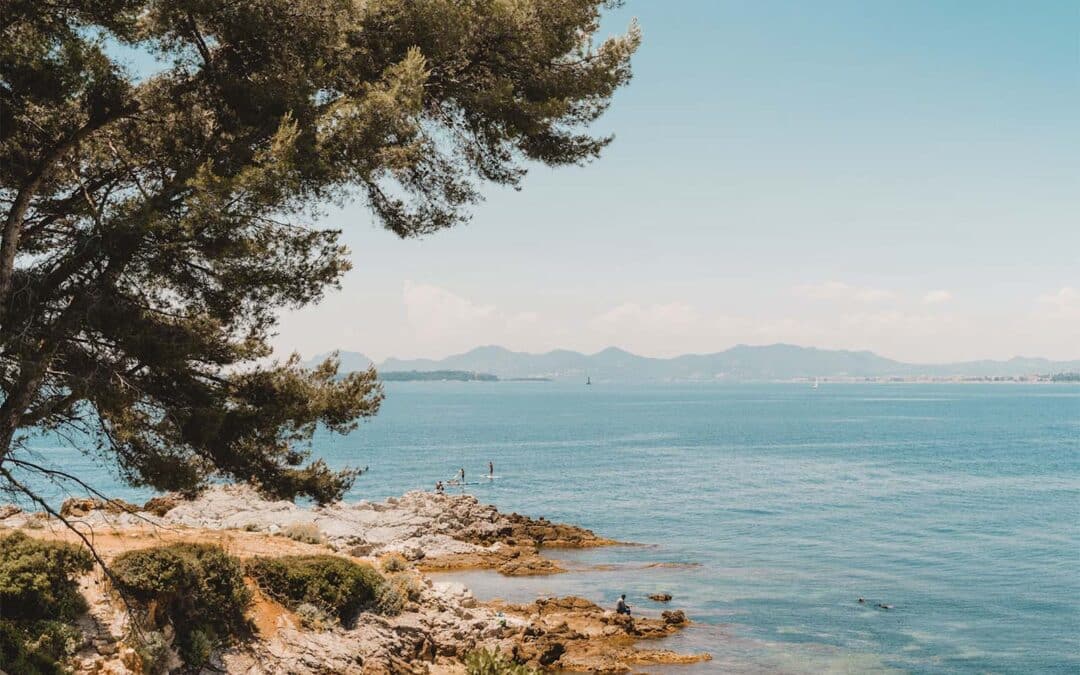 Susan’s Summer Favorites ’25 – Editie 1: Direct Investments