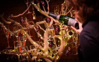 BB Capital’s Friday Feed – Edition #145